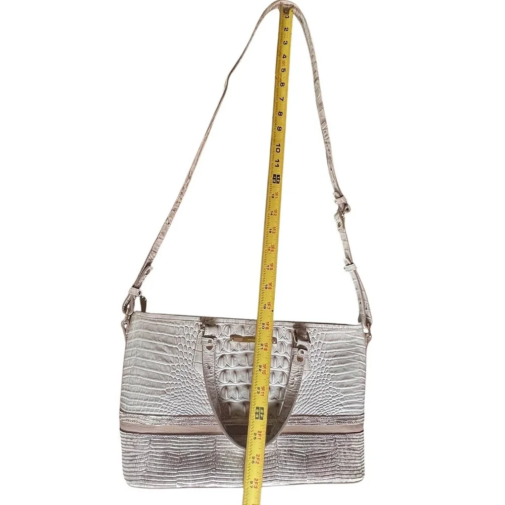 Brahmin mini asher